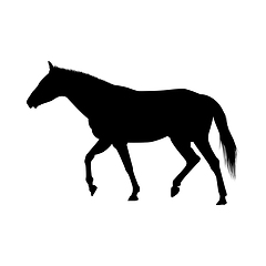 Image showing Horse Silhouette