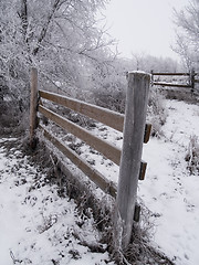 Image showing Frosted Fences