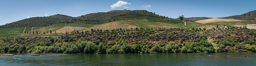 Image showing Point of view shot of terraced vineyards in Douro Valley