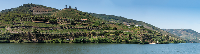 Image showing Point of view shot of terraced vineyards in Douro Valley