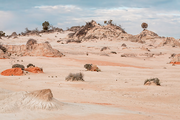 Image showing Australian desert sands and colourful ochres