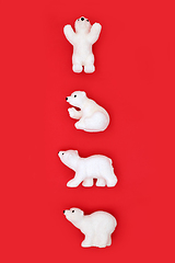 Image showing Christmas Polar Bear North Pole Design