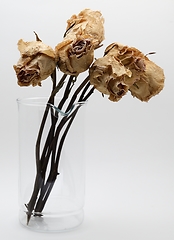 Image showing bouquet of dried roses in a glass jar 