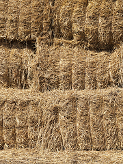 Image showing bales of straw