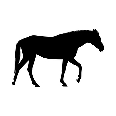 Image showing Horse Silhouette