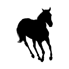 Image showing Horse Silhouette