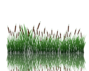 Image showing meadow with reflection