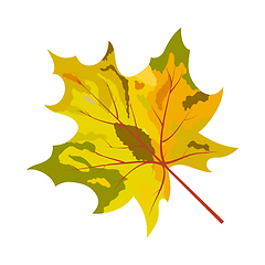 Image showing Autumn Maple Leaf