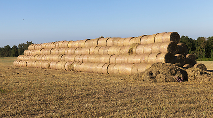 Image showing packaged straw straw