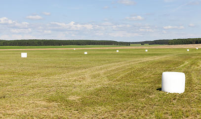 Image showing straw packing