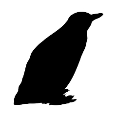 Image showing Penguin Silhouette