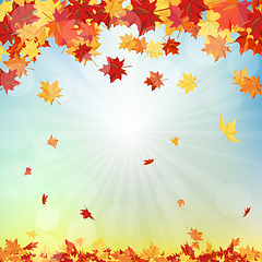 Image showing Fall (Autumn) Background 