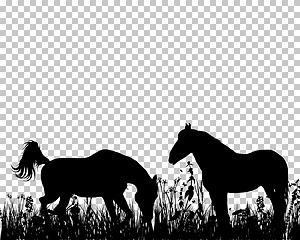 Image showing Horse silhouette on Grass Background