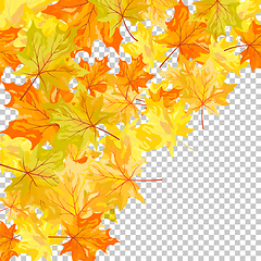 Image showing Fall (Autumn) Maple Background