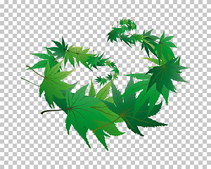 Image showing maple leaves