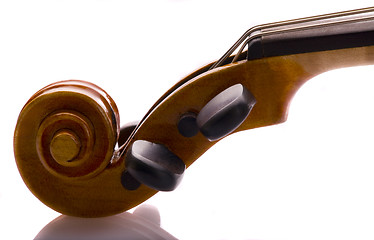 Image showing Violin Scroll and Peg Box
