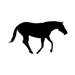 Image showing Horse Silhouette