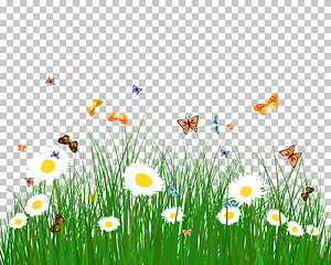 Image showing Color meadow