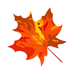 Image showing Autumn Maple Leaf