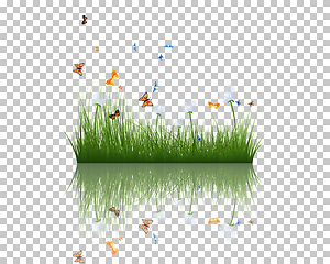 Image showing grass with reflections in water