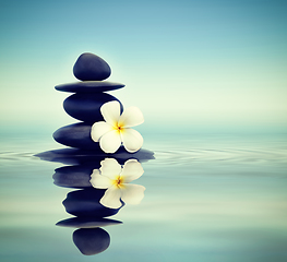 Image showing Zen stones with frangipani