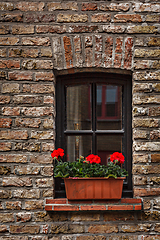 Image showing Window with flowers in Europe. Bruges (Brugge), Belgium