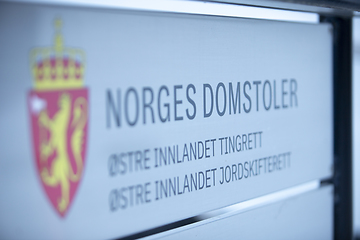 Image showing Norwegian Court