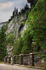 Image showing Valley Dolina Koscieliska in Poland