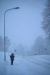 Image showing Snowy winter morning.