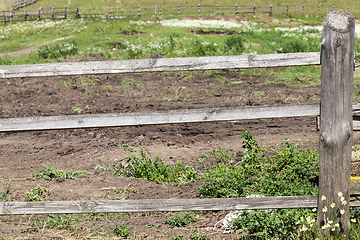 Image showing old gray wooden fence