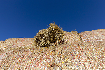 Image showing stacked straw