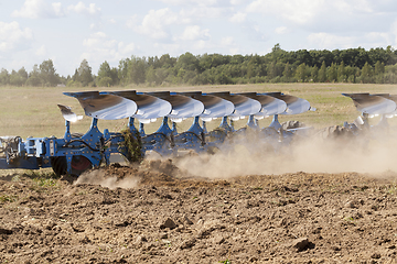 Image showing stork field