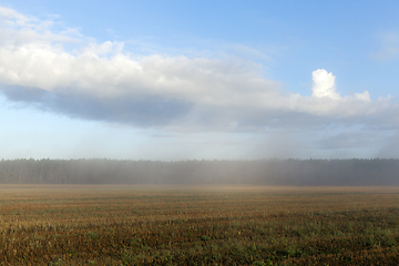 Image showing fog morning