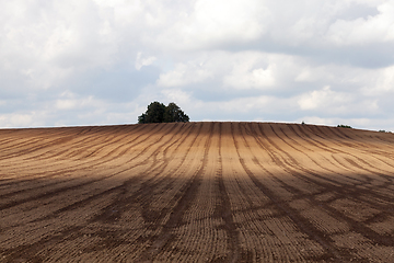 Image showing brown soil