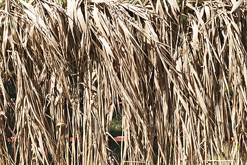 Image showing grass decoration fence