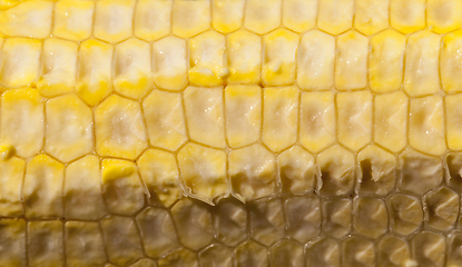 Image showing cut corn cob