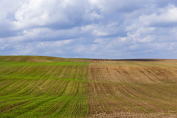 Image showing half of the field