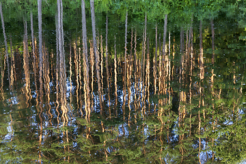 Image showing reflection in the water