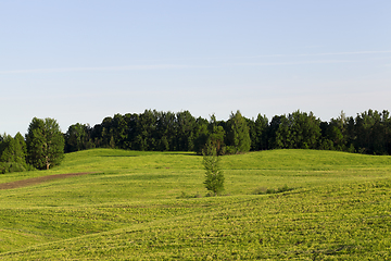 Image showing landscape at the sunset