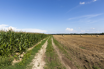 Image showing road field