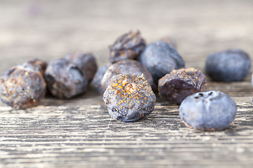 Image showing rotten blueberries