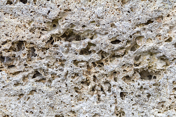 Image showing cavernous stone detail