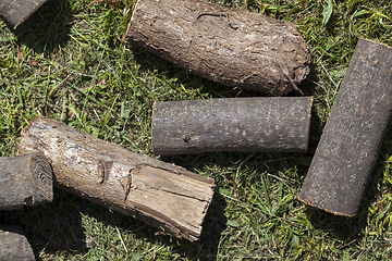 Image showing sawn tree trunk