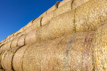Image showing straw stack