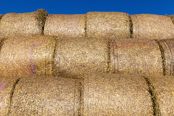 Image showing stacked straw