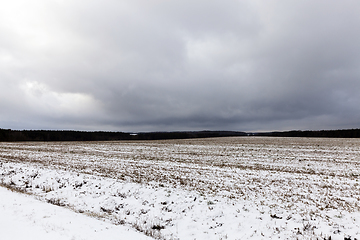 Image showing After snowfall field