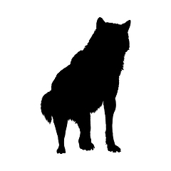 Image showing Wolf Silhouette