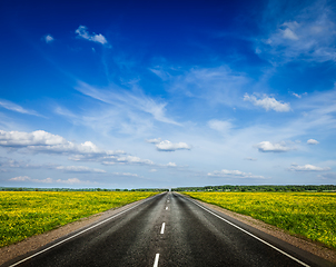 Image showing Road in blooming spring meadow