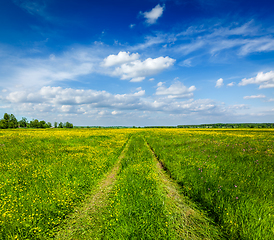 Image showing Spring summer - rural road in green field scenery lanscape