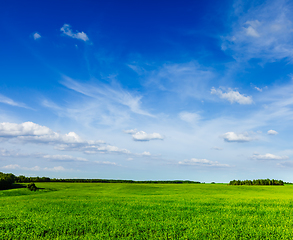 Image showing Spring summer green field scenery lanscape